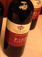 San Michele ai Pianoni Pynos Pinot Nero